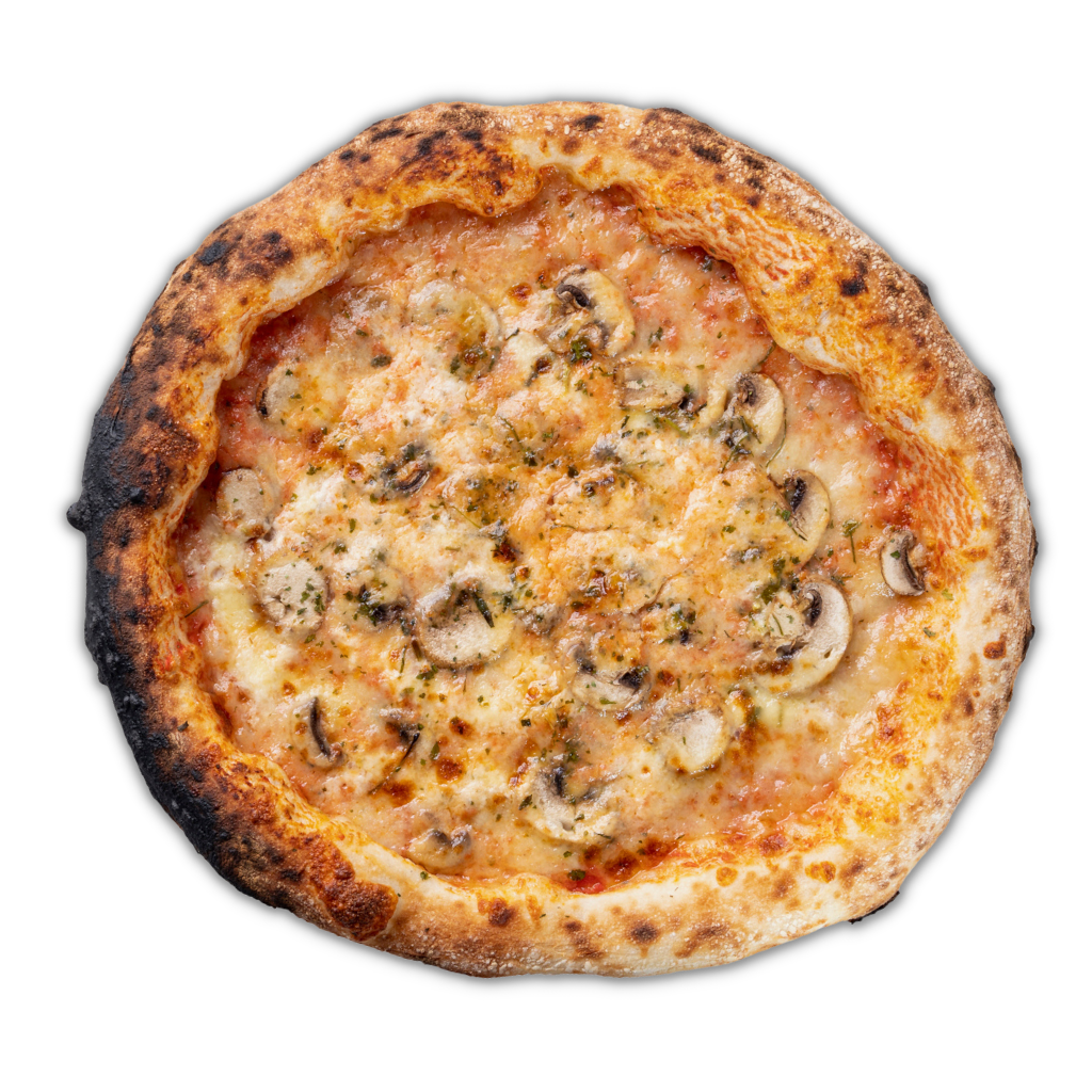 Cogumelo